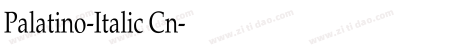 Palatino-Italic Cn字体转换